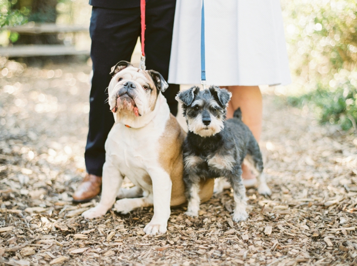 photo 2015-03-03_0035_zpss8lewdvs.jpg