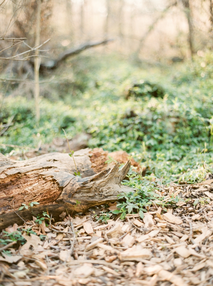 photo 2015-03-03_0038_zpsoxnvi6rw.jpg