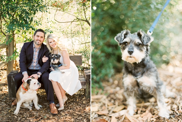 photo 2015-03-03_0045_zpst1piufik.jpg